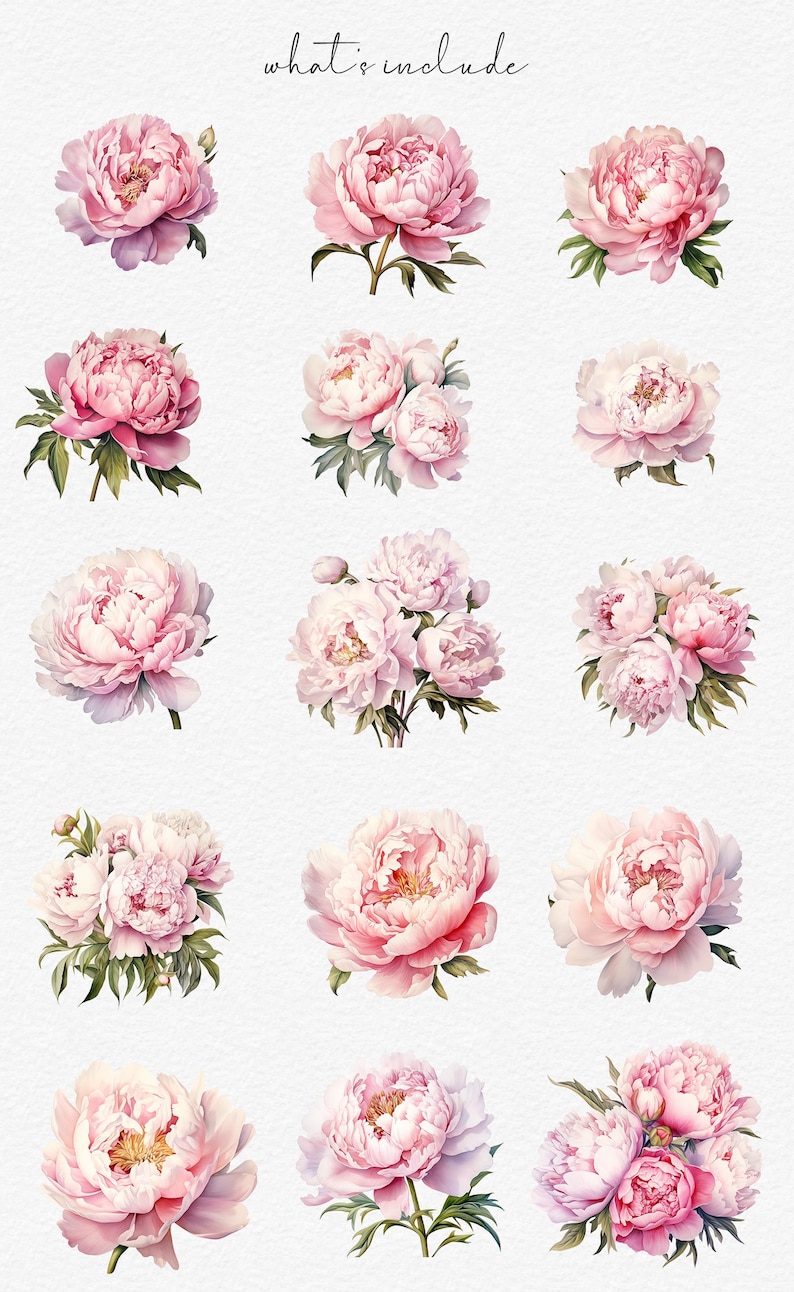 Watercolor Pink Peony Clipart Set: Blush Floral PNG (digital Download ...