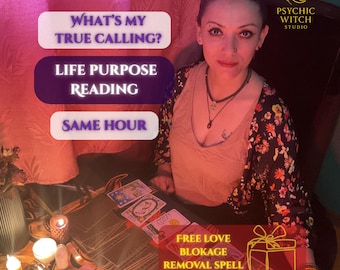 Lebenszweck-Tarot-Lesung - Seelenführung, Same Hour (PDF)