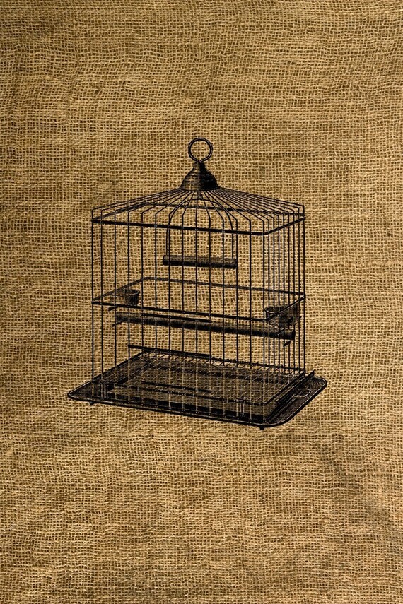 Instant Download Square Vintage Cage Download and Print | Etsy