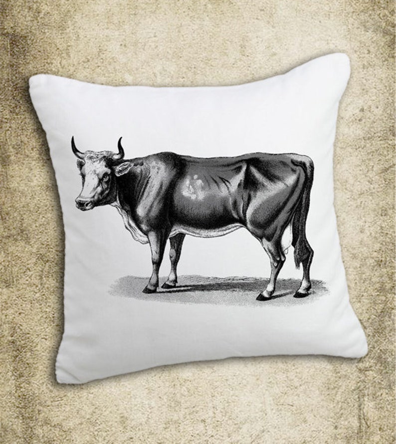 INSTANT DOWNLOAD Vintage Cow Illustration Download and Print | Etsy