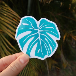 Monstera Sticker, Plant Sticker, Plant Decal, Plant Lover Sticker, 3&quot; WATERPROOF Sticker for Laptop, Water Bottle Sticker, Vinyl Car Sticker