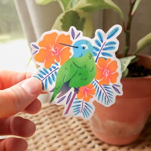 Hummingbird Sticker, Bird Sticker, Hummingbird Decal, Bird Gift, Birdwatching Gift, Tropical WATERPROOF Sticker for Laptop Water Bottle Car