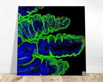 Brushed Aluminum Print - Parasite Life Cycle Glow Artwork with QR Code