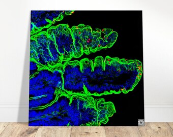 Canvas - Parasite Life Cycle Glow Artwork with QR Code