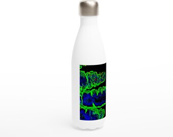 Stainless Steel Water Bottle - Parasite Life Cycle Glow Artwork w/ QR Code