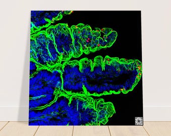 Foam Square - Parasite Life Cycle Glow Artwork with QR Code