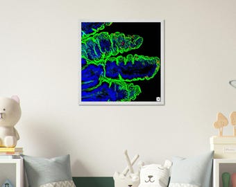 Wooden Framed Poster - Parasite Life Cycle Glow Artwork with QR Code