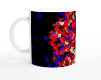 11oz Ceramic Mug - Pancreatic Islet Regeneration Artwork with QR Code