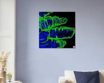 Fine Art Poster - Parasite Life Cycle Glow Artwork with QR Code