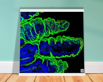 Poster with Hanger - Parasite Life Cycle Glow Artwork with QR Code