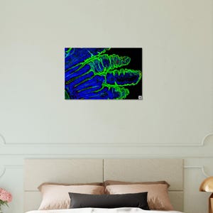 Puede incluir: Imagen microscópica de una muestra biológica, que muestra una vista detallada de las estructuras de los tejidos. La imagen utiliza tonos azules y verdes vibrantes, destacando los componentes y patrones celulares. La composición es abstracta, con un enfoque en los intrincados detalles de la materia biológica.