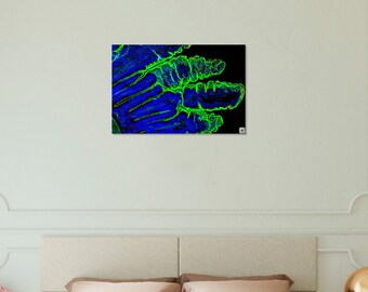 Foam Landscape - Parasite Life Cycle Glow Artwork with QR Code