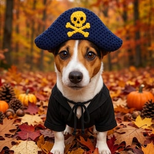 May include: A Jack Russell Terrier dog wearing a dark blue crocheted pirate hat with a yellow skull and crossbones design and a black shirt with a tied collar, standing amidst a forest floor covered in fallen autumn leaves and small pumpkins.