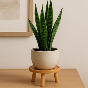 Op de afbeelding: Een slangplant met gestreepte groene bladeren in een beige keramische pot. De pot staat op een kleine, ronde, houten plantenstandaard met drie poten. De plant en de standaard staan op een houten oppervlak.