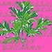 Propietario de <a href='https://www.etsy.com/mx/shop/sugarmint11?ref=l2-about-shopname&from_page=listing' class='wt-text-link'>sugarmint11</a>