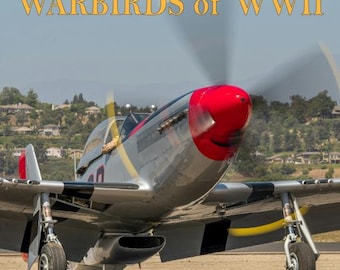 Calendario de pared de 2027: Aviones de guerra de la Segunda Guerra Mundial