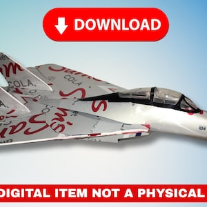 Soda Can Airplane F-14 Tomcat DIGITAL pop can aviation PLANS