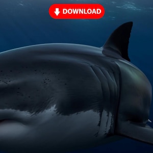1080p Great White Shark PC Screensaver | Windows 10/11 | Deep Sea Digital PC background | Minimalist Ocean Art | DIGITAL Download
