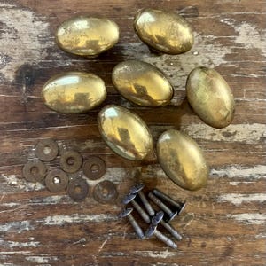 May include: A set of six oval-shaped brass cabinet knobs with a polished finish. The collection includes six matching metal washers and six threaded metal screws, all arranged together to show the complete hardware set for furniture installation.