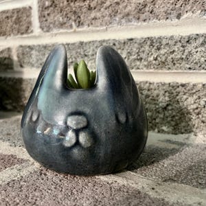 May include: A small, rounded ceramic planter with a dark blue and grey crackle glaze finish. The planter features two upright, ear-like protrusions at the top and a small, light green succulent plant nestled in the center opening of the vessel.