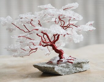 Give the gift of luck with a lucky tree, a lucky charm. A symbol of happiness, health, hope, and comfort. A gift for your best friend.