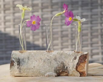 A small birthday gift for a woman. Set of three flower vases made of wood, birchwood, and a glass insert. Rustic and modern decorative design.