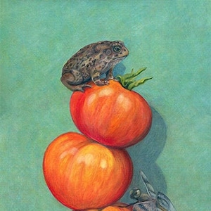 Garden Friends - toad, tomato, dragonfly art giclee print