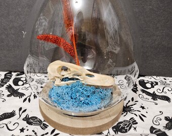 Duck skull egg terrarium