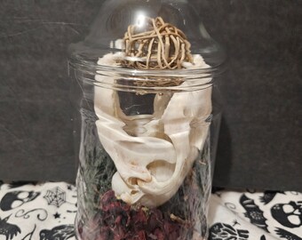 Apothecary Jar Raccoon Skull Terrarium