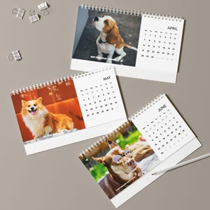 Cute Dog Desk Calendar 2025 | Adorable Dog Photos | Office Desk Decor | Gift for Dog Lovers | Inspirational Daily Calendar