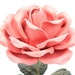 see more listings in the Large Full Bloom Roses section