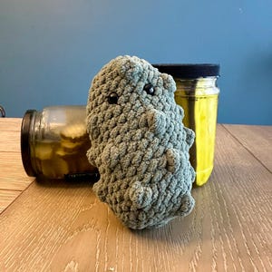Crochet Pickle