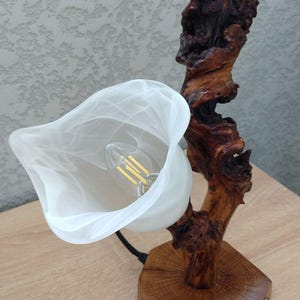 Oak Bedside Lamp,Modern Table Lamp,Reading Lamp, Wood Lamp, Desk Lamp, Table Lamp, Desk Light,Nightlight or LED Lamp, Accent Lamp ,Lampshade