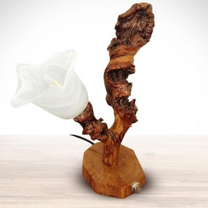 Handcrafted Wooden Lamp: Apple Branch, Flower Glass Shade