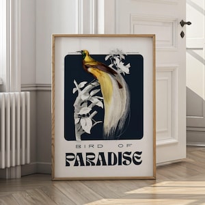 Paradiesvogel Vintage Wand Kunst | Digital Druck | Elegantes exotisches Vogel Poster | Tropische Natur Dekor Herunterladbare Kunst