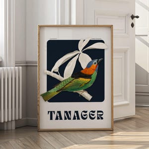 Arte de pared vintage de tangara / Impresión digital de aves botánicas / Elegante póster de aves exóticas / Decoración natural colorida descargable