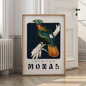 Impeyan Monal Vintage Wand Kunst | Digital Druck | Elegantes exotisches Vogel Poster | Himalayan Nature Decor Herunterladbare Kunst