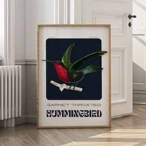 Arte de pared vintage de colibrí / Impresión digital de aves botánicas / Elegante póster de aves tropicales / Decoración de naturaleza exótica descargable