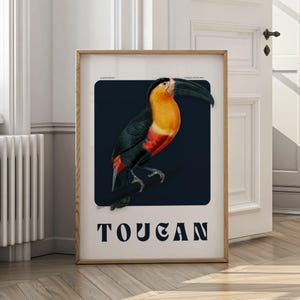 Tukan Vintage Wandkunst | Digital Druck | Elegantes exotisches Vogel Poster | Tropische Natur Dekor Herunterladbare Kunst