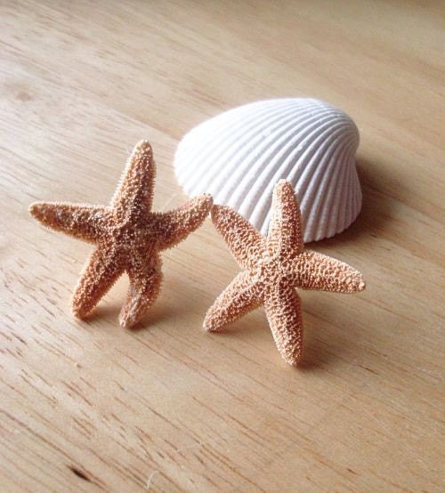 Aquamarine starfish hotsell earrings