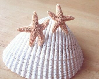 Aquamarine's Starfish Earrings Real Starfish Studs Inspired By Aquamarine Movie Mermaid Nautical Ariel Beach Accessories Womens Gift For Her