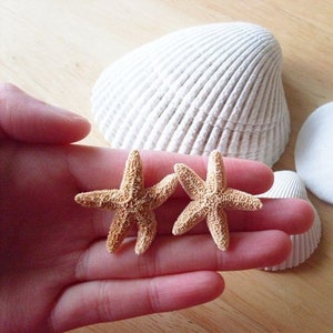 Aquamarine's Starfish Earrings Real Starfish Studs Inspired By Aquamarine Movie Mermaid Jewelry Accessories Girlfriend Womens Gift Summer image 3