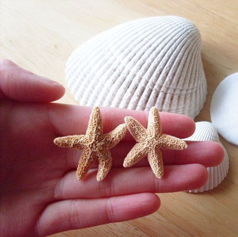 Aquamarine's Starfish Earrings Real Starfish Studs Inspired By Aquamarine Movie Mermaid Jewelry Accessories Girlfriend Womens Gift Summer image 3