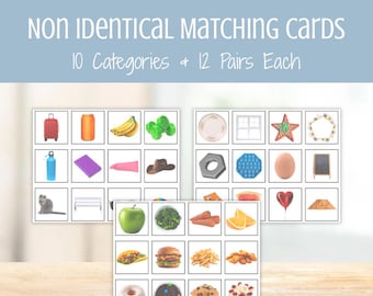 Cartões com imagens para comparação de figuras não idênticas — Fotos reais para programas de DTT, materiais de ABA, recursos para BCBA, avaliação de autismo e intervenção precoce.