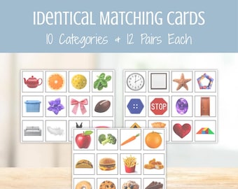 Cartões com imagens idênticas para comparação — Fotos reais para programas DTT, materiais ABA, recursos BCBA, avaliação de autismo e intervenção precoce.