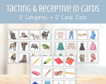 Cartões ilustrados para identificação tátil e receptiva — Programas DTT, Identificação Receptiva, Materiais ABA, Recursos BCBA, Intervenção Precoce