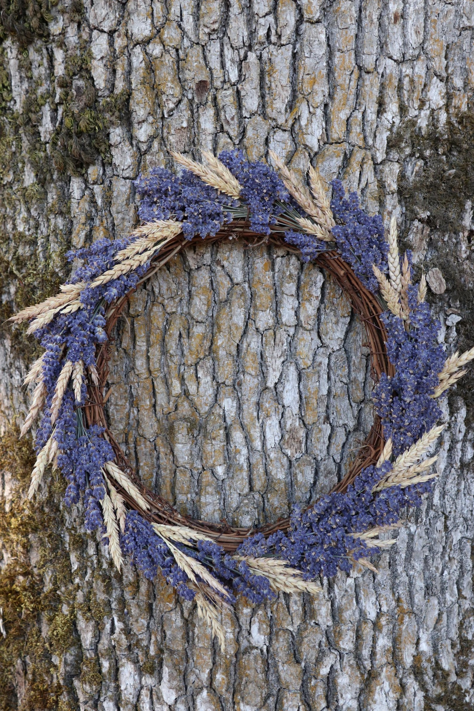 Lavender & Wheat Wreath