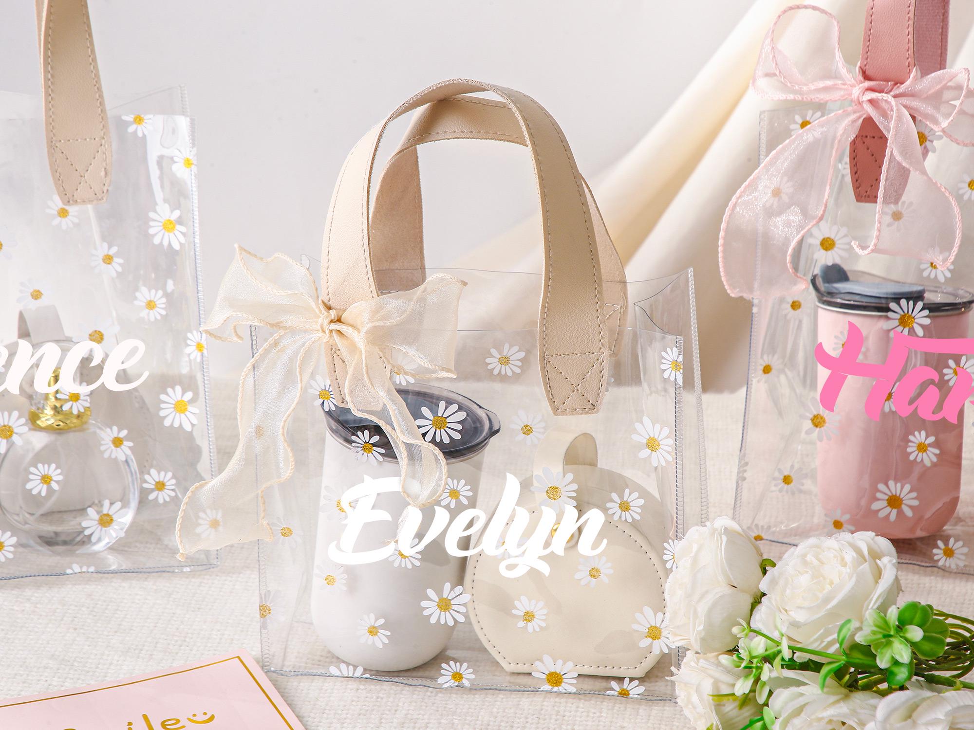 Transparent Gift Bag 60+ Gift Ideas for 2025