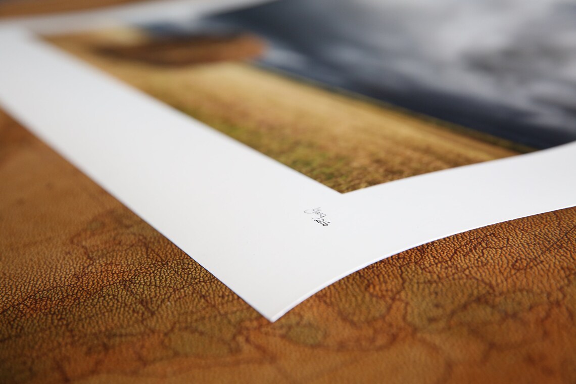 Grain Elevator in Raley Alberta Wheat Field | Etsy