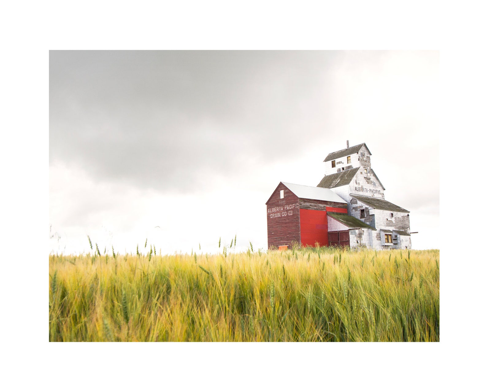 Grain Elevator in Raley Alberta Wheat Field | Etsy